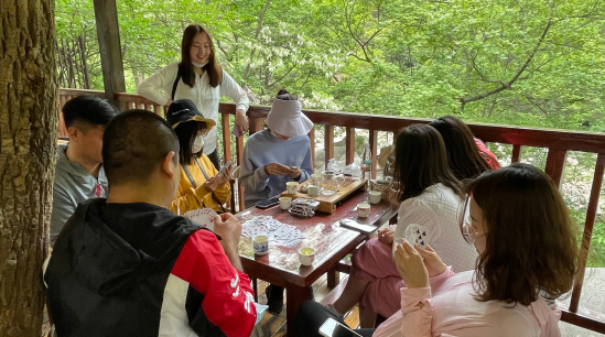 鼎天国际官方网站图片